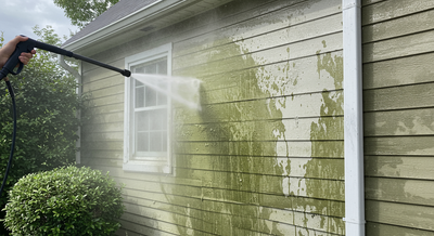 Soft Washing Services in Point, TX | Lion Heart Pest Control